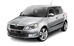 Skoda Эва-коврики на Skoda Fabia II 2007 - 2014